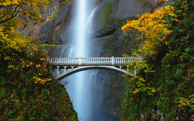 Landscape photo of bridge